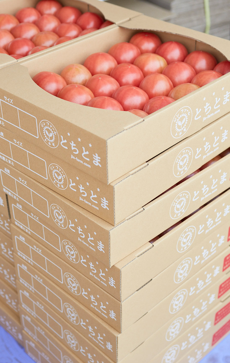 トマト出荷用パッケージデザイン | Aoranger.com